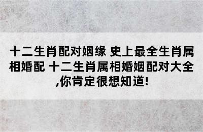 十二生肖配对姻缘 史上最全生肖属相婚配 十二生肖属相婚姻配对大全,你肯定很想知道!